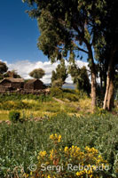 Paisaje en el pueblo de Llachón, a orillas del Lago Titicaca.